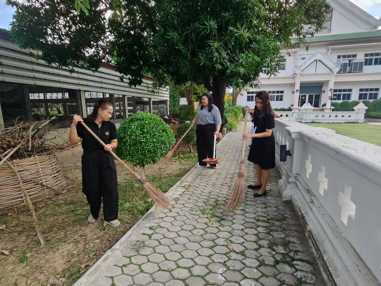 Lemon Slice