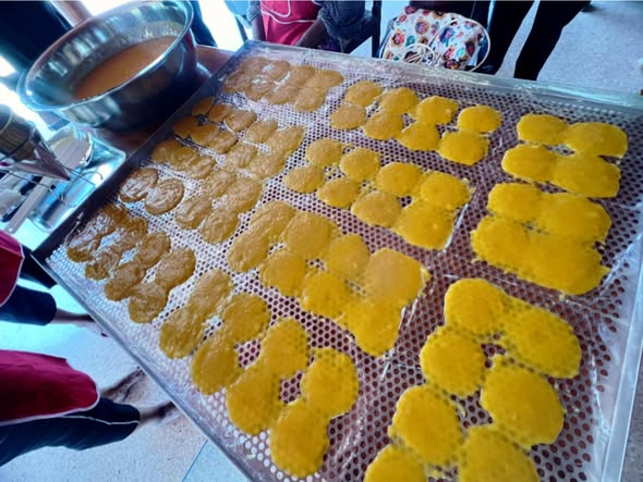 Lemon Slice